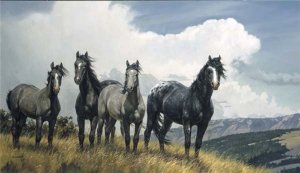 Amazing Grays IV by Nancy Glazier