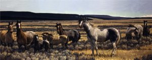 Amazing Grays V by Nancy Glazier