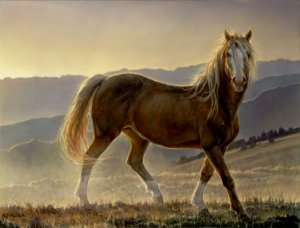 Blaze by Nancy Glazier