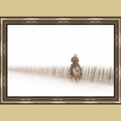 Framed Editions