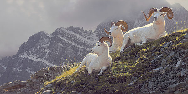 Summitt Sanctuary by Wildlife Artist Daniel Smith